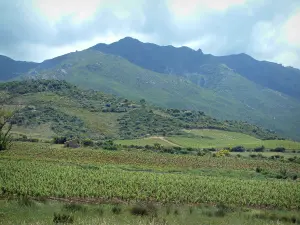 Landesinnere von Korsika - Weinanbau von Patrimonio, Hügel und Berge