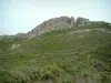 Landesinnere von Korsika - Berg mit wild wachsenden Blumen, Büsche und Bergkämme (Gegend zum Klettern in der Umgebung von Calvi)