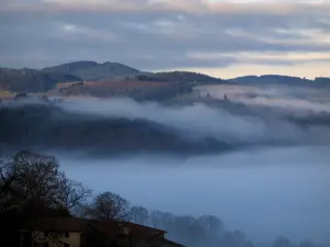 Landscapes - Hills, trees and clouds