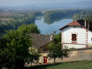 Landscapes of the Ain - Houses of the town of Trevoux overlooking River Saône lined by trees (Saône valley) 