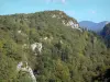 Landscapes of the Ain - Upper Jura Regional Nature Park (Jura mountain range): mountains covered with trees 