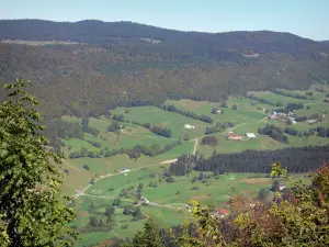 Landscapes of the Ain - Upper Jura Regional Nature Park (Jura mountain range): view from the neck of the Sickle 