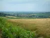 Landscapes of Alsace - Corn field and grassland, houses of a village, trees and fields in background