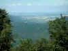 Landscapes of Alsace - From the Haut-Koenigsbourg castle, view of a forest and the Alsace plain