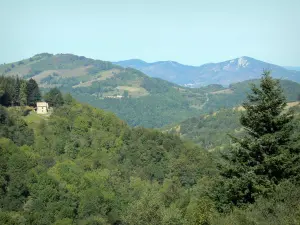 Landscapes of Ariège - Hills covered with trees and meadows