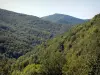 Landscapes of Ariège - Massif de l'Arize: hills covered with forests; in the Ariège Pyrenees Regional Nature Park