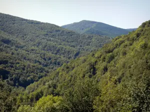 Landscapes of Ariège - Massif de l'Arize: hills covered with forests; in the Ariège Pyrenees Regional Nature Park