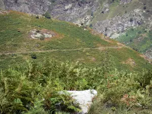 Landscapes of Ariège - Pyrenean mountain and vegetation; in the Ariège Pyrenees Regional Nature Park