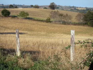 Landscapes of Aveyron - View of fenced pastures