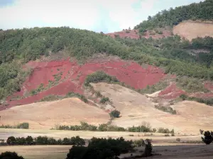 Landscapes of Aveyron - Grands Causses Regional Nature Park: landscape of Rougier de Camarès