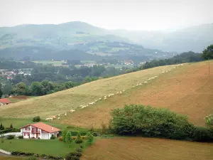 Landscapes of the Basque Country - View of the houses and hills of the Lower Navarre