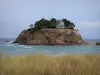 Landscapes of the Brittany coast - Emerald Coast: Guesclin island, sea and beachgrass (psammophytes) in foreground