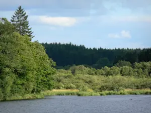 Landscapes of Burgundy - Saint-Agnan lake (artificial lake) and its wooded bank; in the Morvan Regional Nature Park