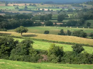 Landscapes of Burgundy - Bocage in Nivernais