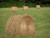 Landscapes of Burgundy - Bales of hay in a meadow