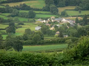 Landscapes of Burgundy - Houses surrounded by trees and meadows