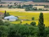 Landscapes of Burgundy - Sunflower fields next to a farm
