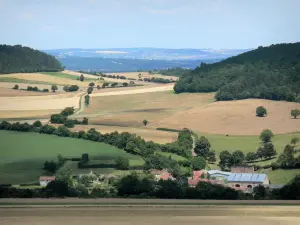 Landscapes of Burgundy - Houses surrounded by trees and fields