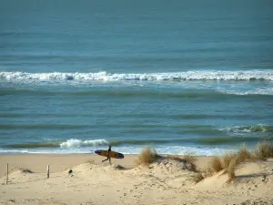 Landscapes of the Charente-Maritime coast - Arvert peninsula: dune and beachgrass (psammophytes) in foreground, sandy beach of the wild coast (côte sauvage) with a surfer, sea (Atlantic Ocean) with small waves