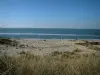 Landscapes of the Charente-Maritime coast - Arvert peninsula: beachgrass (psammophytes) in foreground, sand, beach of the wild coast (côte sauvage) below and the sea (Atlantic Ocean)