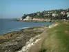 Landscapes of the Charente-Maritime coast - Grassland, cliffs, sea and houses (villas) in the forest