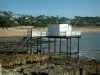 Landscapes of the Charente-Maritime coast - Cliffs, fisherman's hut built on stilts, sea, sandy beach and houses (villas) in the forest