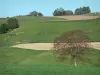 Landscapes of Dauphiné - Pasture, herd of cows, fields and trees