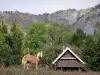 Landscapes of Dauphiné - Horses in a meadow, wooden chalets, trees and mountains