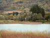 Landscapes of Dauphiné - Petichet lake (one of tje four Laffrey lakes), reeds and trees, in the town of Saint-Théoffrey