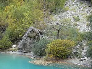 Landscapes of Dauphiné - Vénéon valley (Écrins massif - Oisans): Vénéon stream, rocks and shrubs