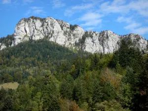 Landscapes of Dauphiné - Chartreuse Regional Nature Park (Chartreuse mountains): rock walls (cliffs) overlooking the forest