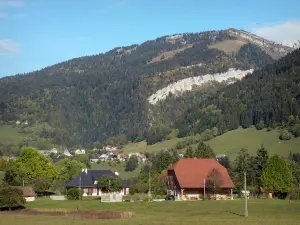Landscapes of Dauphiné - Chartreuse Regional Nature Park (Massif de la Chartreuse): houses, trees, pastures and mountain covered with forest
