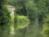 Landscapes of the Deux-Sèvres - Sèvre Niortaise valley - Poitevin marsh - Green Venice: house and trees at the water's edge