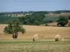 Landscapes of the Deux-Sèvres - Serie of fields, hay bales in the foreground