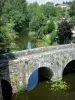 Landscapes of the Deux-Sèvres - Thouet valley - Parthenay: Saint-Jacques bridge spanning River Thouet
