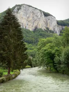 Landscapes of the Doubs - Loue valley: Loue river lined with trees and cliffs (rock faces) overhanging the set; in Mouthier-Haute-Pierre