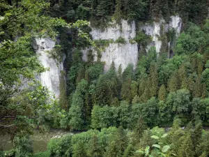 Landscapes of the Doubs - Doubs gorges: cliffs (rock faces), trees and the River Doubs