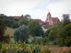Landscapes of the Eure-et-Loir - Notre-Dame church and houses of the Vichères village, trees and fields; in Perche
