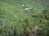 Landscapes of the Gard - Houses surrounded by trees