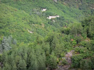 Landscapes of the Gard - Houses surrounded by trees