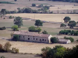 Landscapes of the Gard - Farmhouse, fields and trees