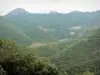 Landscapes of the Gard - Hills covered by trees