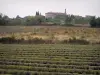 Landscapes of the Gard - Field of lavender, village in the background