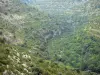 Landscapes of the Gard - Mountains dotted with vegetation