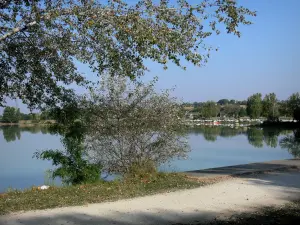 Landscapes of the Gascony - Promenade along the L'Isle-Jourdain lake 