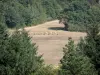 Landscapes of the Gascony - Field surrounded by trees with haystacks 