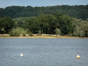 Landscapes of the Haute-Marne - Liez lake and its wooded shore