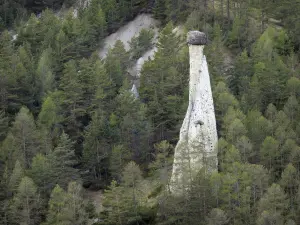 Landscapes of the Hautes-Alpes - Queyras Regional Nature Park: Fairy chimney surrounded by trees