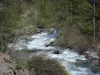 Landscapes of the Hautes-Alpes - Freissinières valley: Biaysse (Biaisse) torrent edged with trees and shrubs; in the Écrins National Nature Park