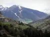 Landscapes of the Hautes-Alpes - Mountains dotted with trees and prairies